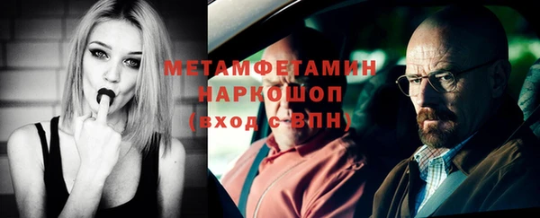 шишки Надым
