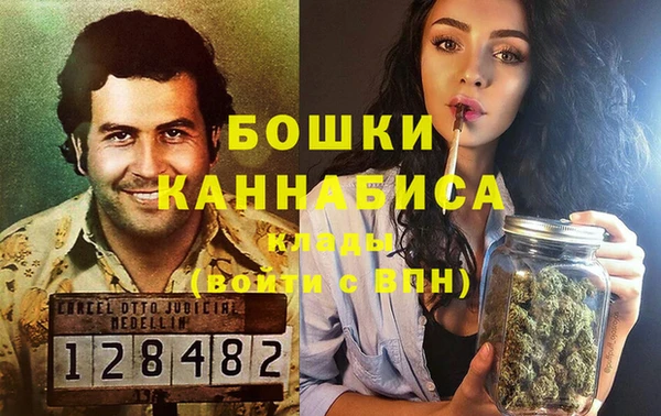 PSILOCYBIN Аркадак