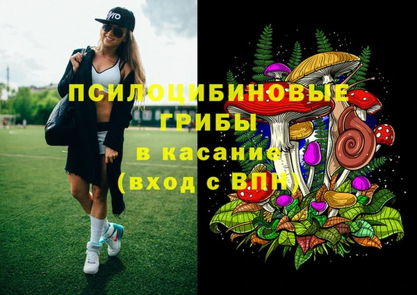 гидропоника Балабаново