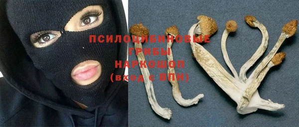 гидропоника Балабаново