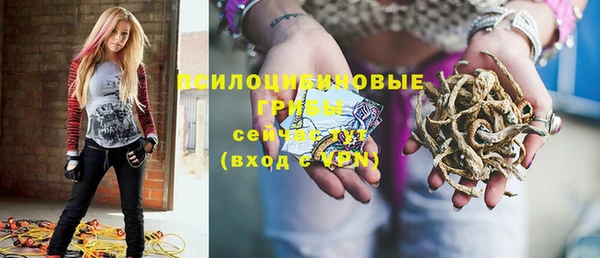 гидропоника Балабаново
