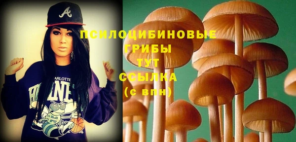 PSILOCYBIN Аркадак