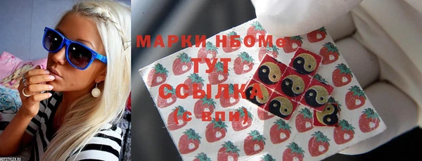 шишки Надым